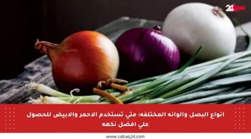 أنواع البصل وألوانه المختلفة: متى تستخدم الأحمر والأبيض للحصول على أفضل نكهة